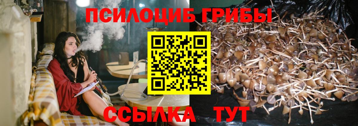 Таганрог  Псилоцибиновые грибы Psilocybe  Галлюциногенные грибы Magic Shrooms  Вход с VPN 